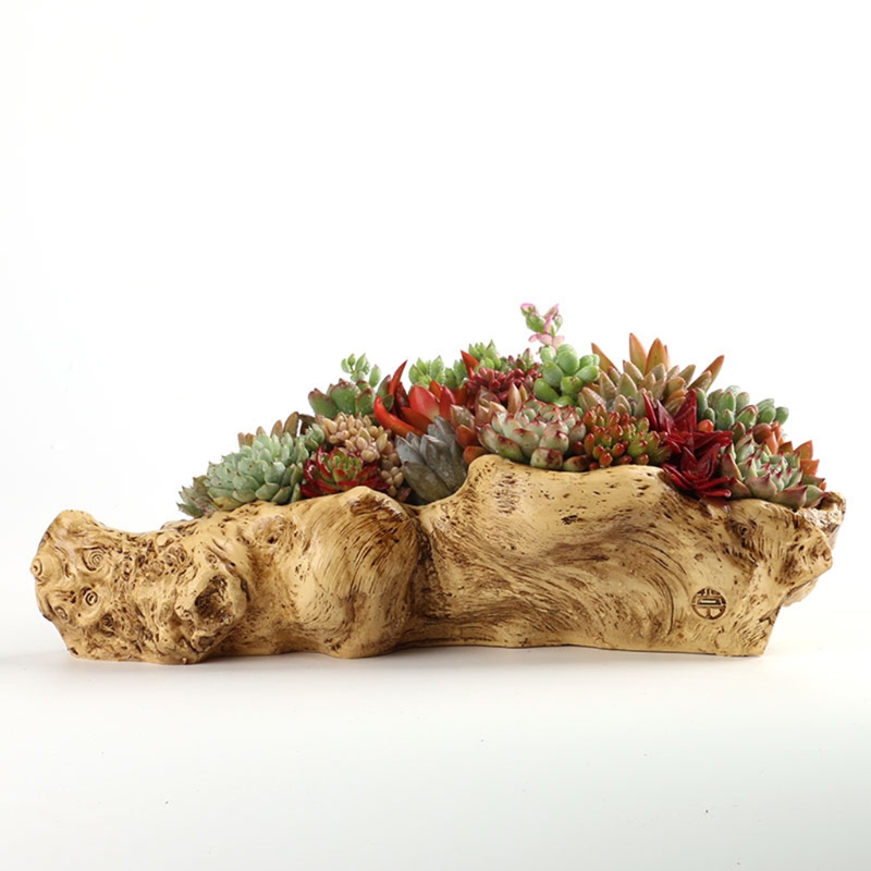 สไตล์ Pastoral Retro ภูมิทัศน์ - Japanese Garden Bonsai บทวิจารณ์และราคา