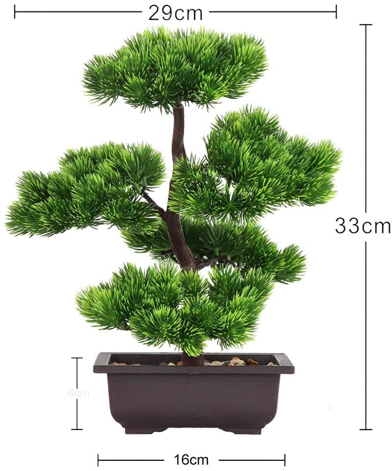 ต้นบอนไซไม้สนญี่ปุ่นสำหรับตกแต - Japanese Garden Bonsai บทวิจารณ์และราคา