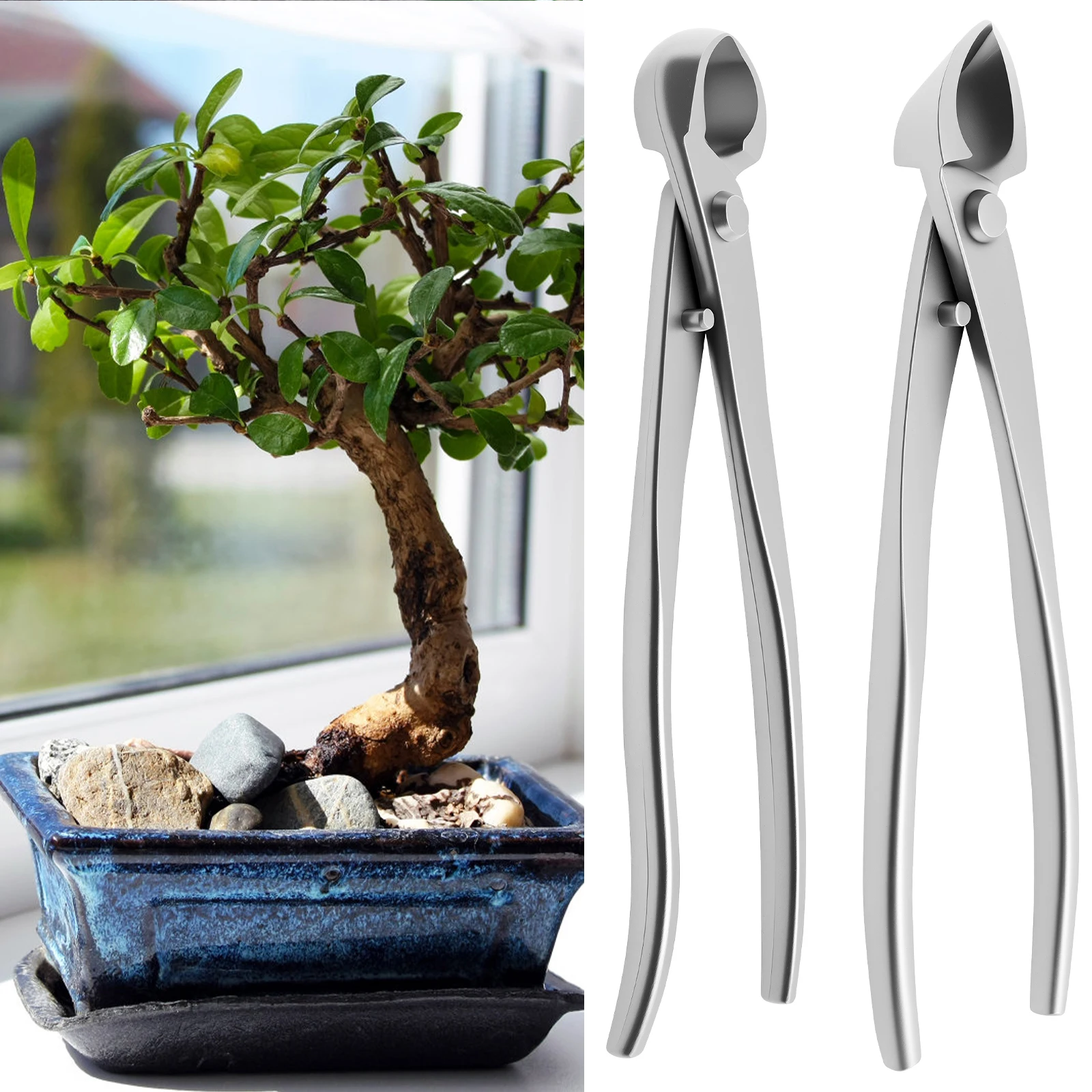 ชุดอุปกรณ์ดูแลบอนไซ สแตนเลสสตี - Bonsai Garden Timings บทวิจารณ์และราคา