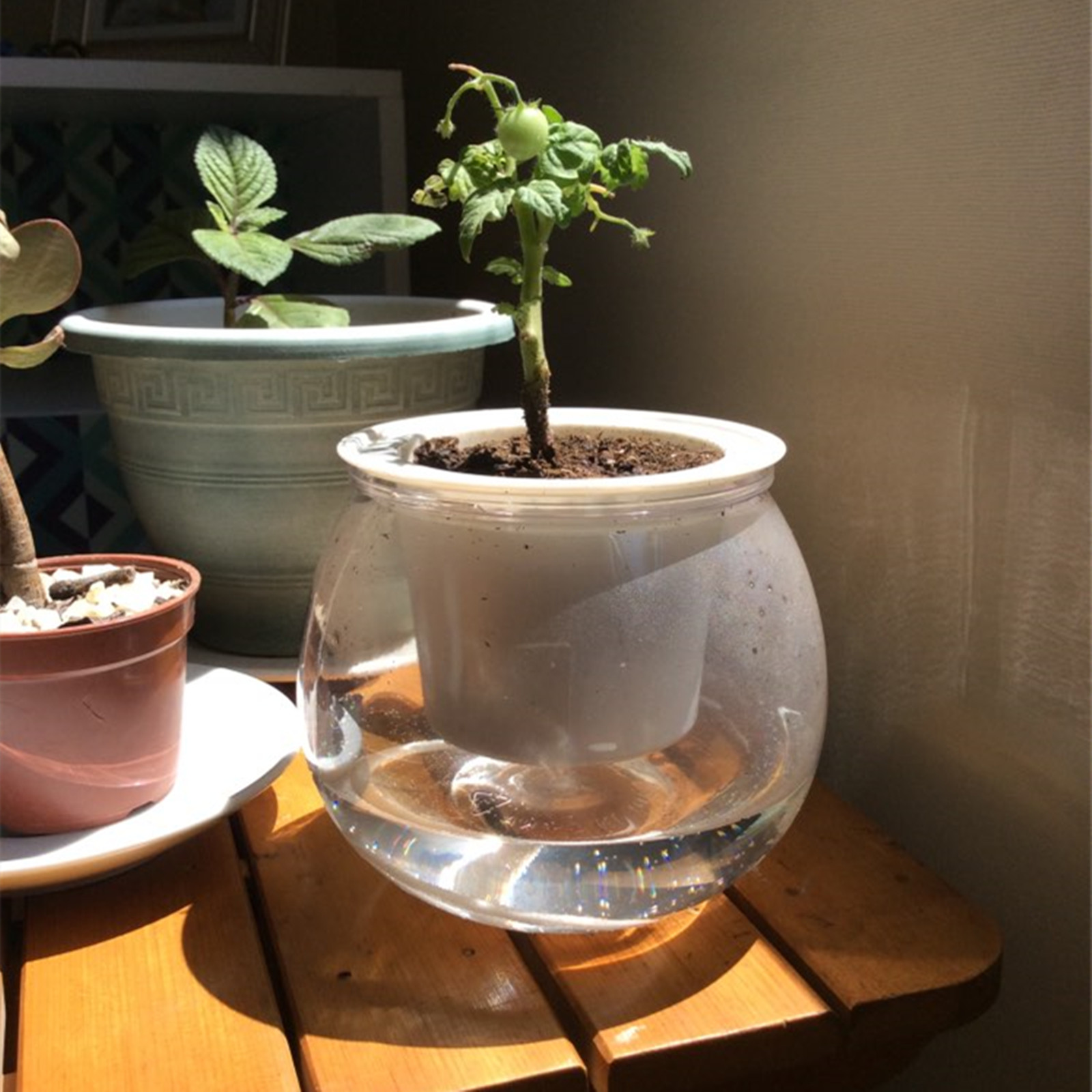 Self Watering Planter หม้อมินิ - Japanese Garden Bonsai บทวิจารณ์และราคา