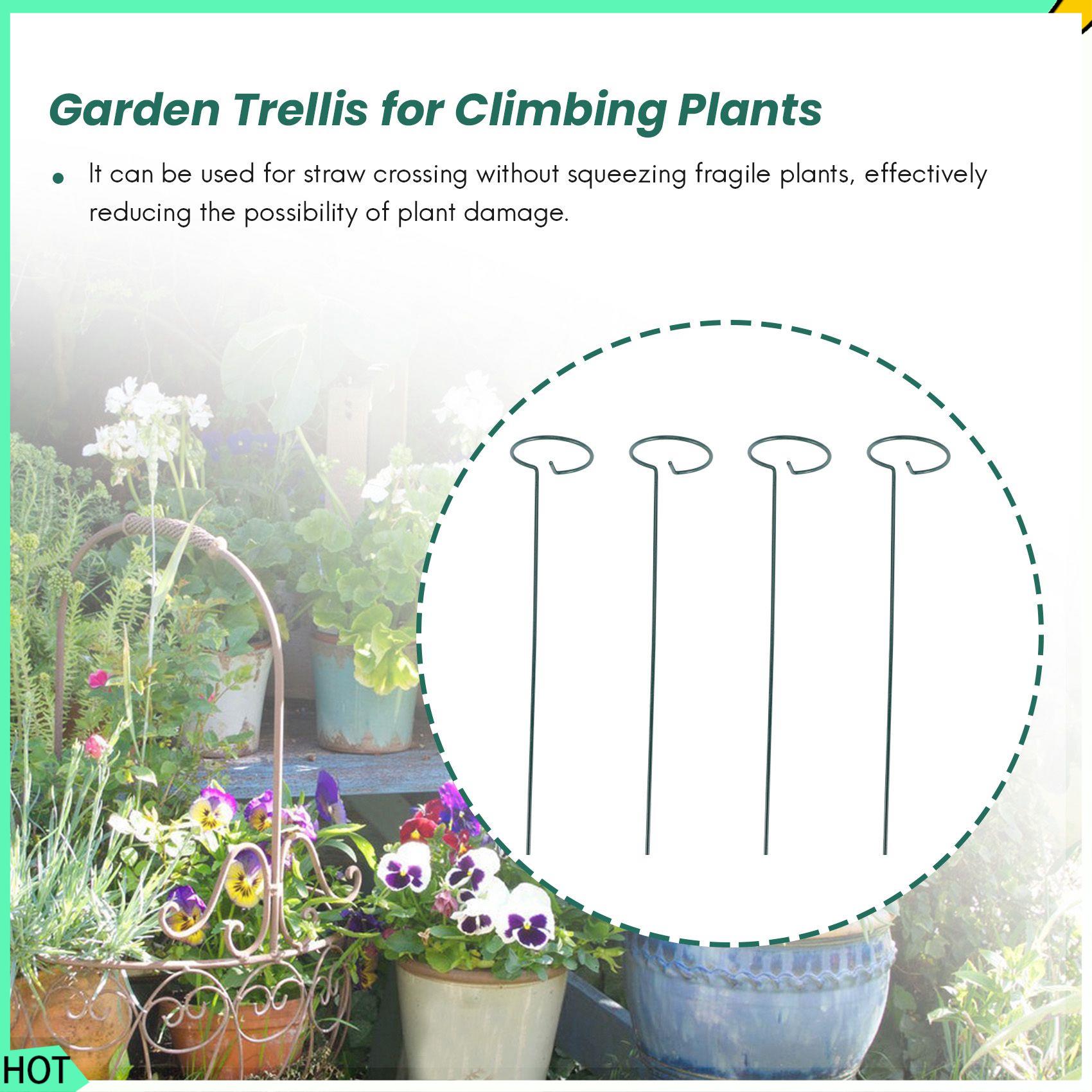AWAH 8PCS พืชที่สวยงามสนับสนุน - Bonsai Garden Backyard บทวิจารณ์และราคา