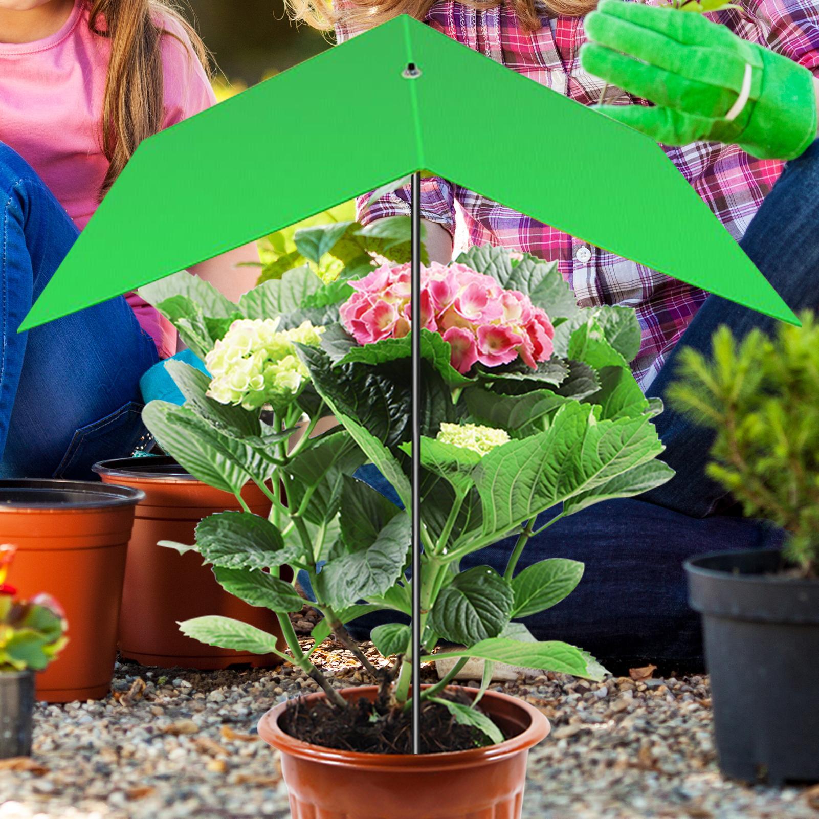 ร่มคลุมต้นไม้ ป้องกันรังสียูวี - Bonsai Garden Backyard บทวิจารณ์และราคา
