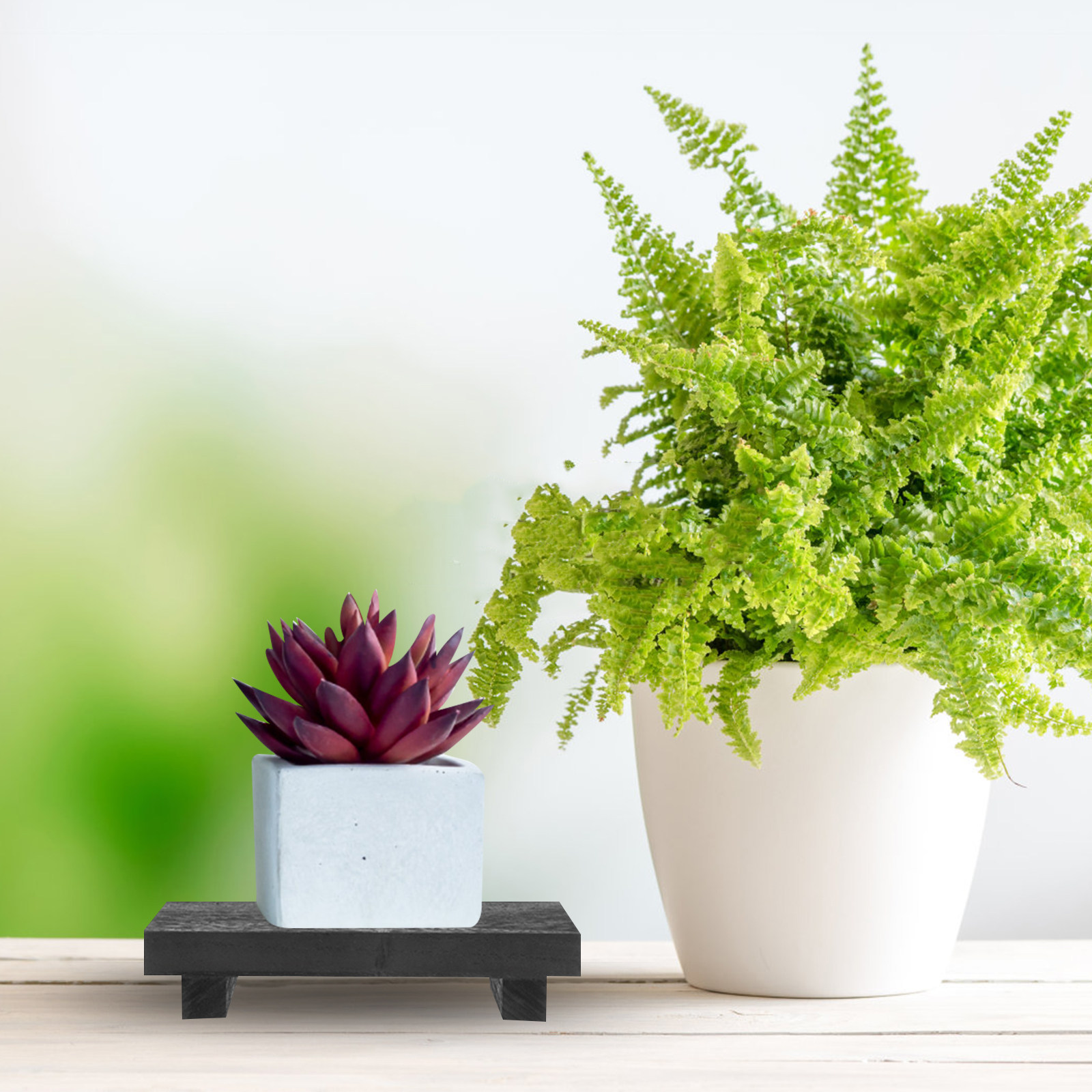 แท่นวางไม้ทรงสี่เหลี่ยมสไตล์บ้ - Display Stand Wood บทวิจารณ์และราคา