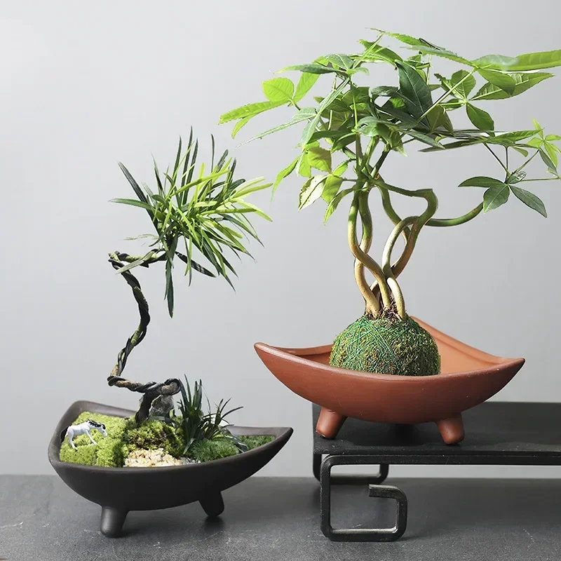 กระถางต้นไม้เซรามิคส่วนบุคคลสำ - Japanese Garden Bonsai บทวิจารณ์และราคา