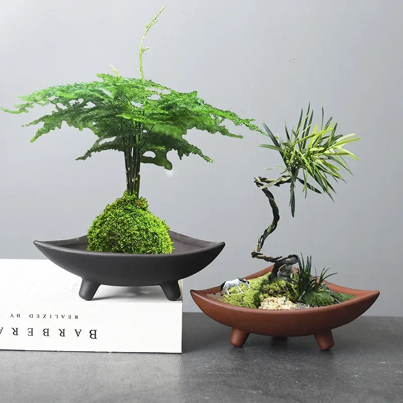 กระถางต้นไม้เซรามิคส่วนบุคคลสำ - Japanese Garden Bonsai บทวิจารณ์และราคา