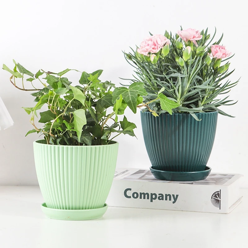 POT Bulat กระถางอวบน้ำพร้อมถาด - Japanese Garden Bonsai บทวิจารณ์และราคา