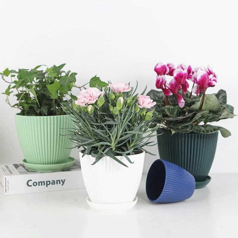 POT Bulat กระถางอวบน้ำพร้อมถาด - Japanese Garden Bonsai บทวิจารณ์และราคา