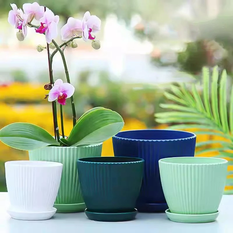 POT Bulat กระถางอวบน้ำพร้อมถาด - Japanese Garden Bonsai บทวิจารณ์และราคา