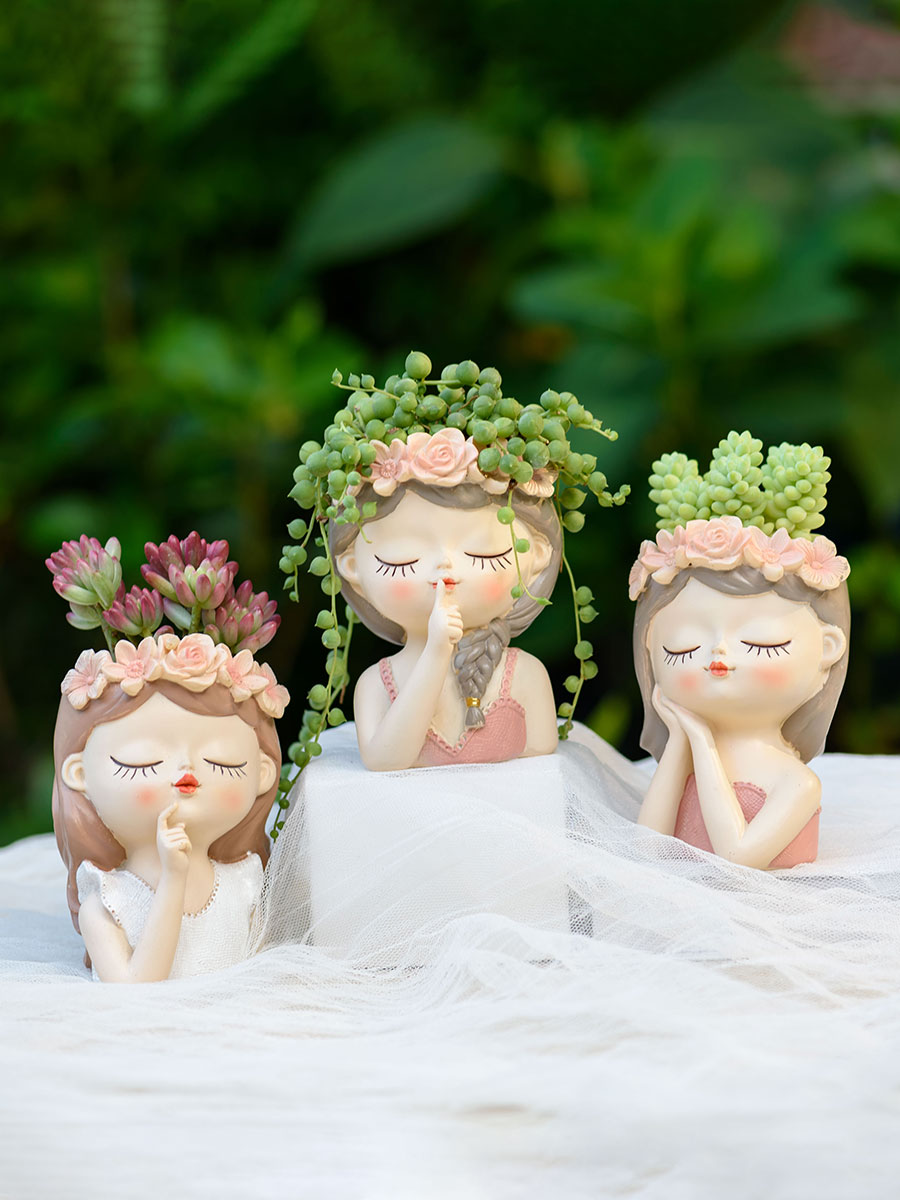 นางฟ้า succulents กระถางดอกไม้ - Japanese Garden Bonsai บทวิจารณ์และราคา
