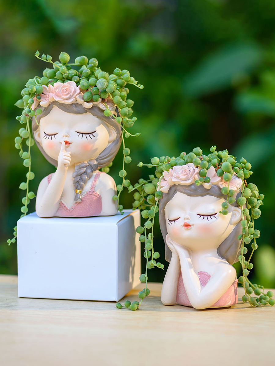 นางฟ้า succulents กระถางดอกไม้ - Japanese Garden Bonsai บทวิจารณ์และราคา