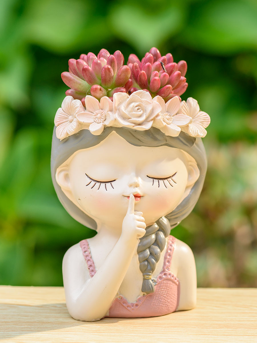 นางฟ้า succulents กระถางดอกไม้ - Japanese Garden Bonsai บทวิจารณ์และราคา