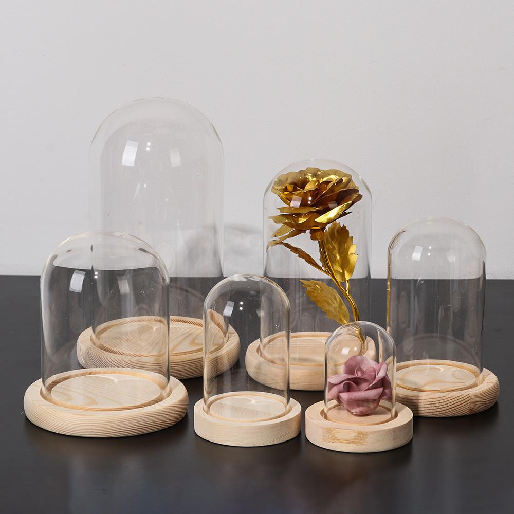 แก้ว Cloche Jar ขาตั้งจอแสดงผล - Display Stand Wood บทวิจารณ์และราคา