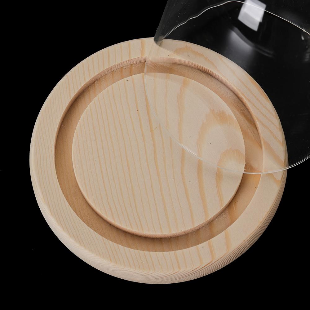 แก้ว Cloche Jar ขาตั้งจอแสดงผล - Display Stand Wood บทวิจารณ์และราคา