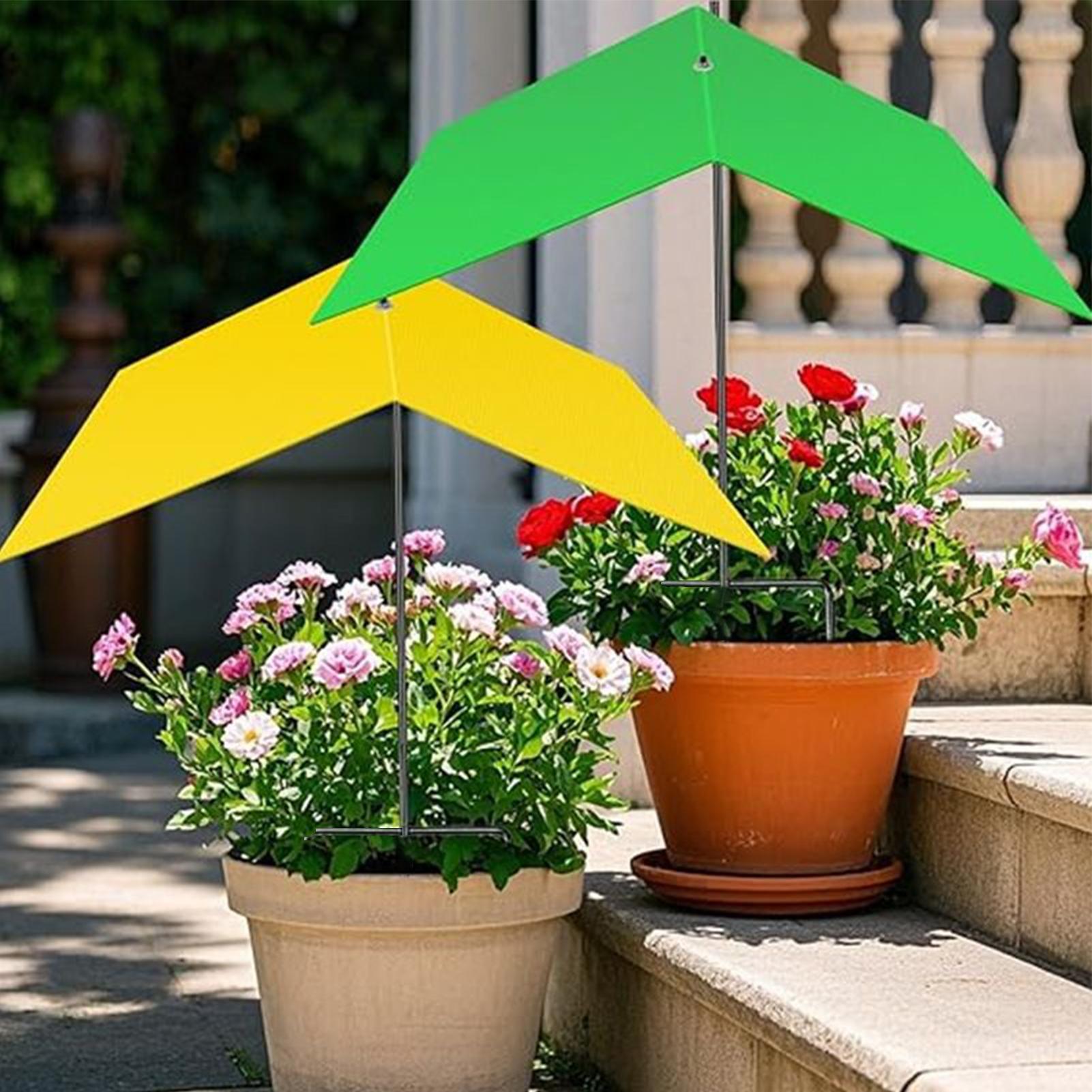 ร่มสำหรับพืชกลางแจ้ง ร่มกันแดด - Bonsai Garden Backyard บทวิจารณ์และราคา