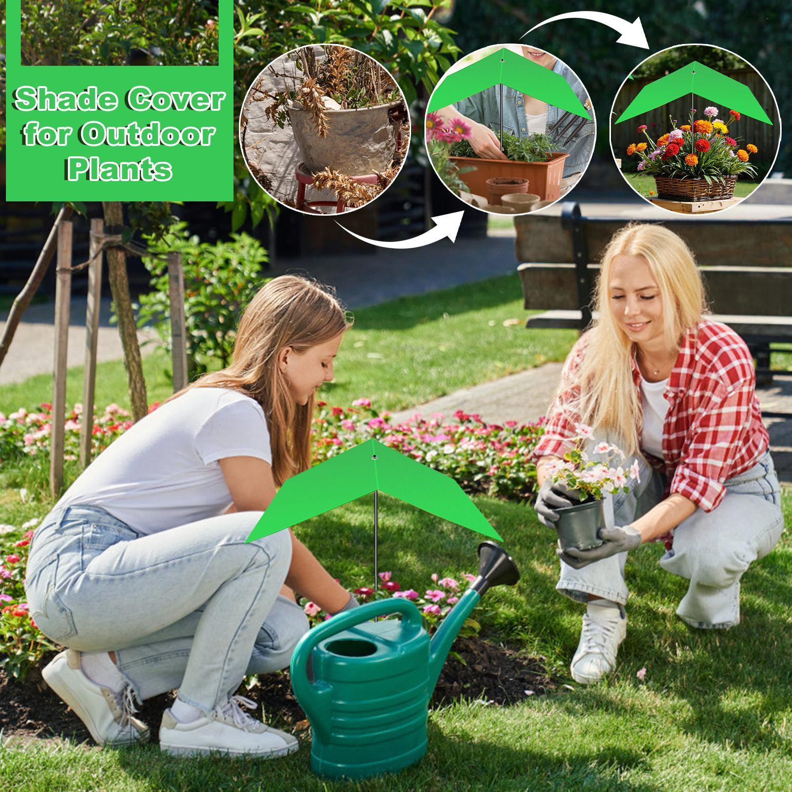 ร่มสำหรับพืชกลางแจ้ง ร่มกันแดด - Bonsai Garden Backyard บทวิจารณ์และราคา